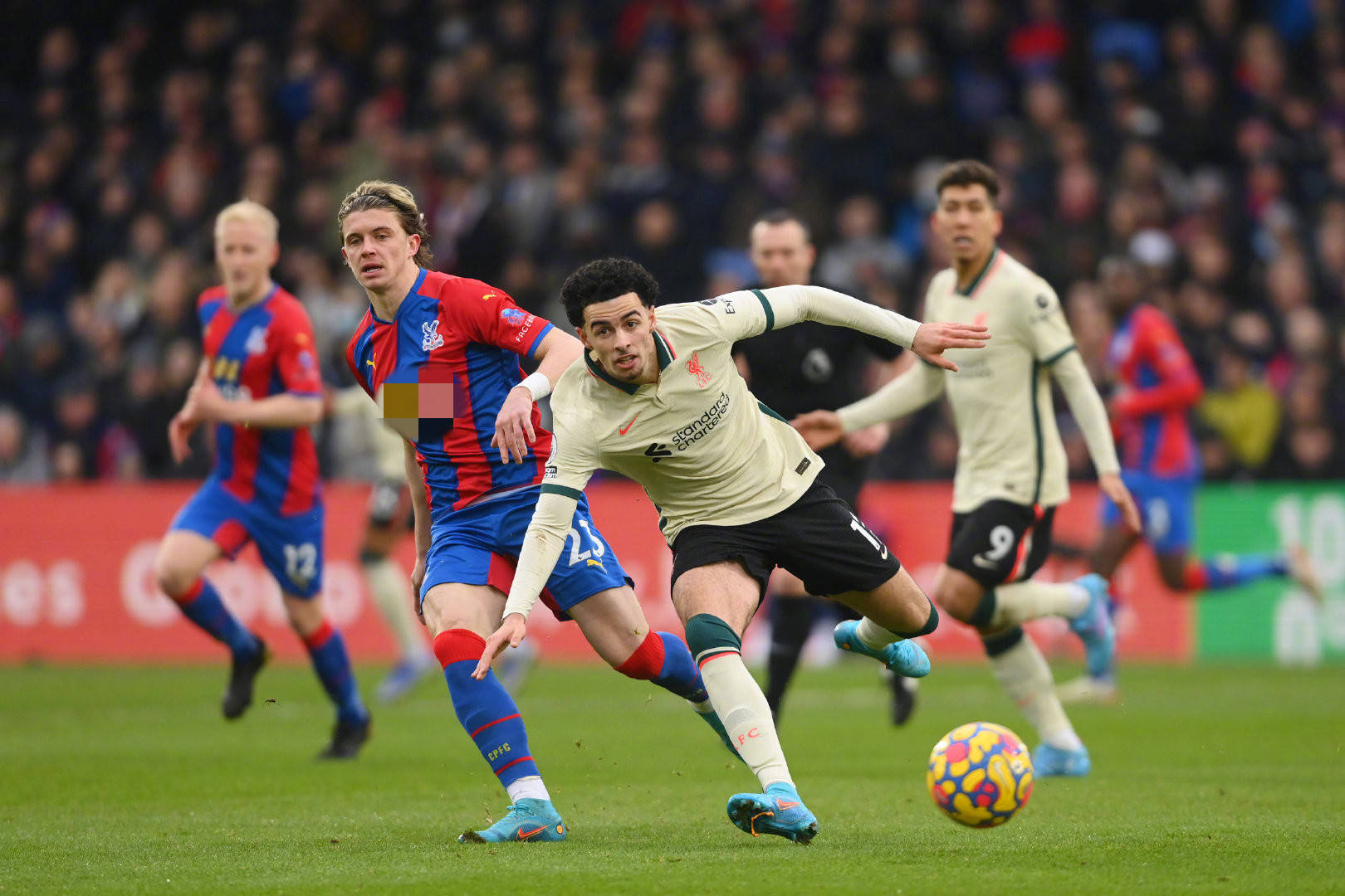 西方的阴谋？杜布瓦用退赛保住金腰带，拖延张志磊冲世界冠军进度.