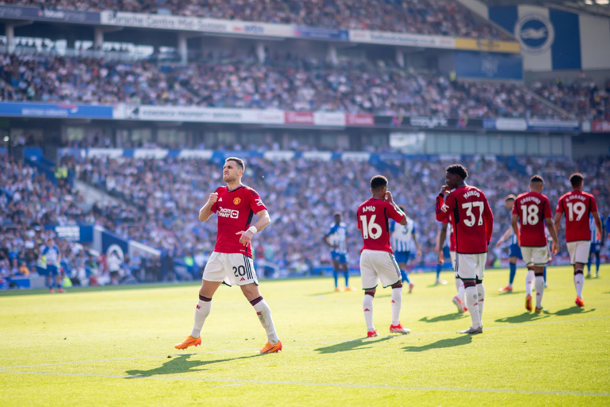 他在成为球 他在成为球